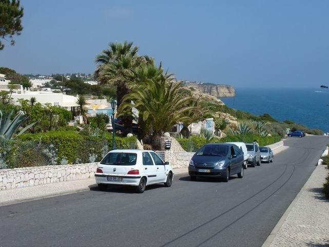 coastal road with palm trees carvoeiro algarve portugal