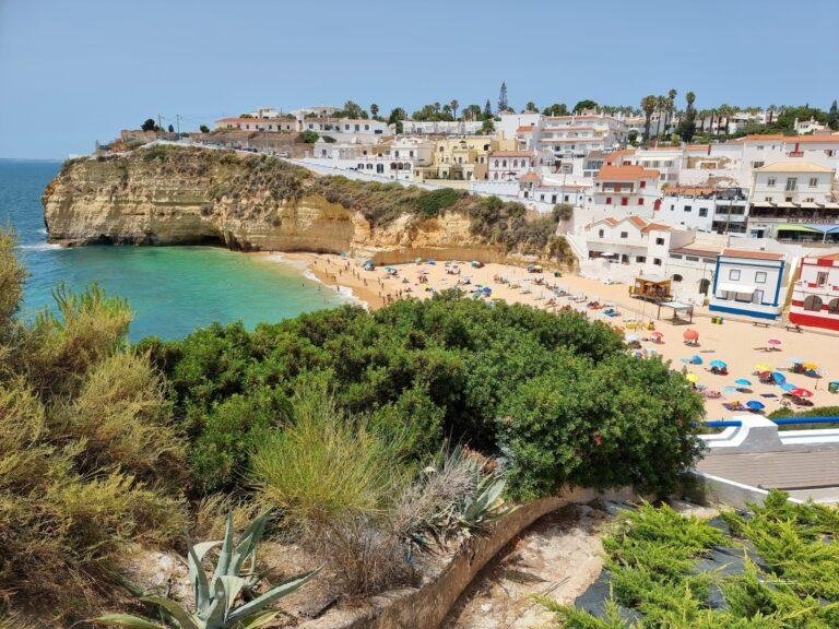 coastal vegetation and cliffs near carvoeiro beach algarve portugal