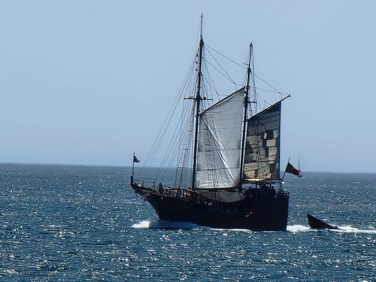 historic portuguese caravel replica sailing algarve coast portugal