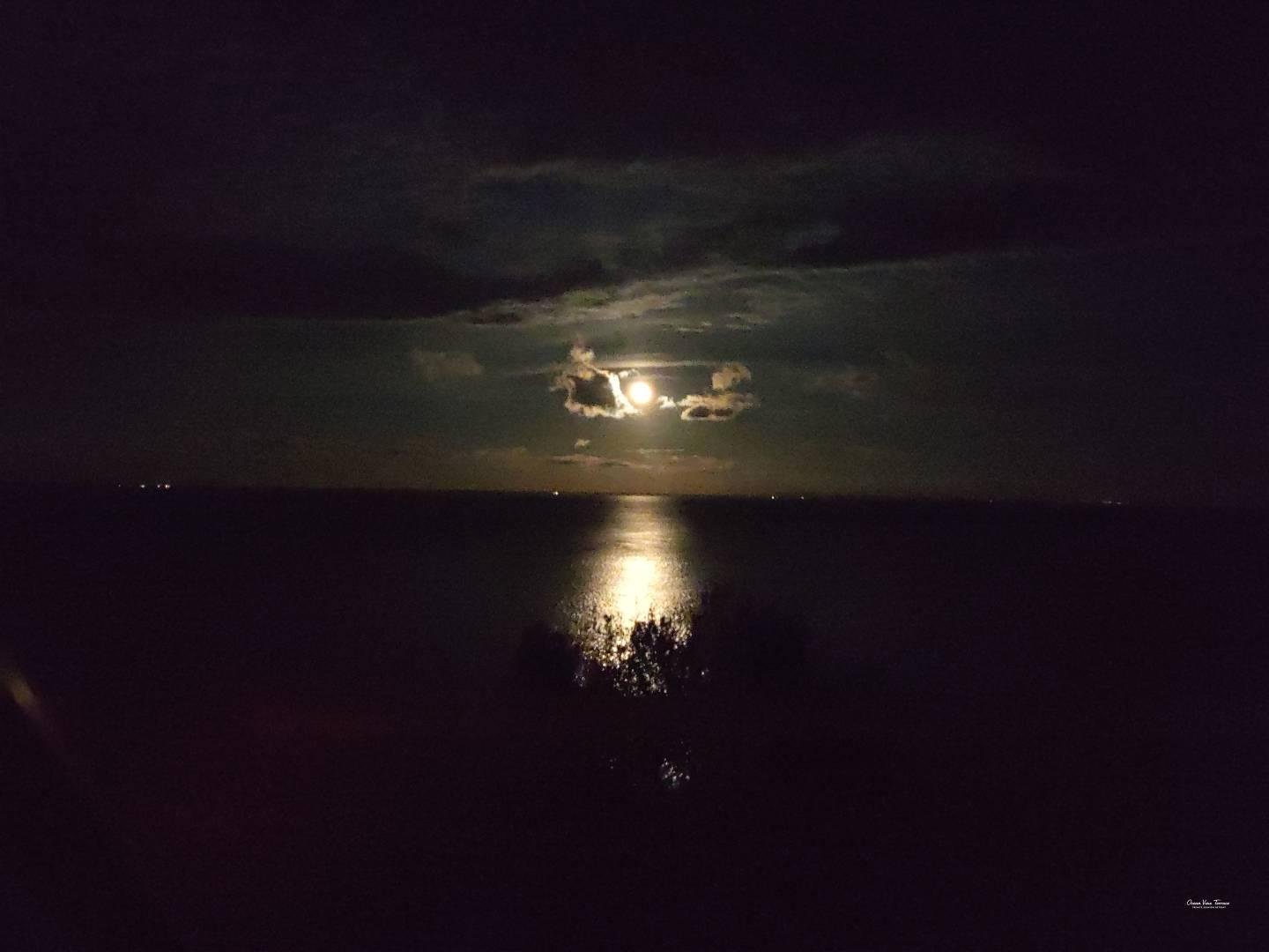night view carvoeiro coastline lights