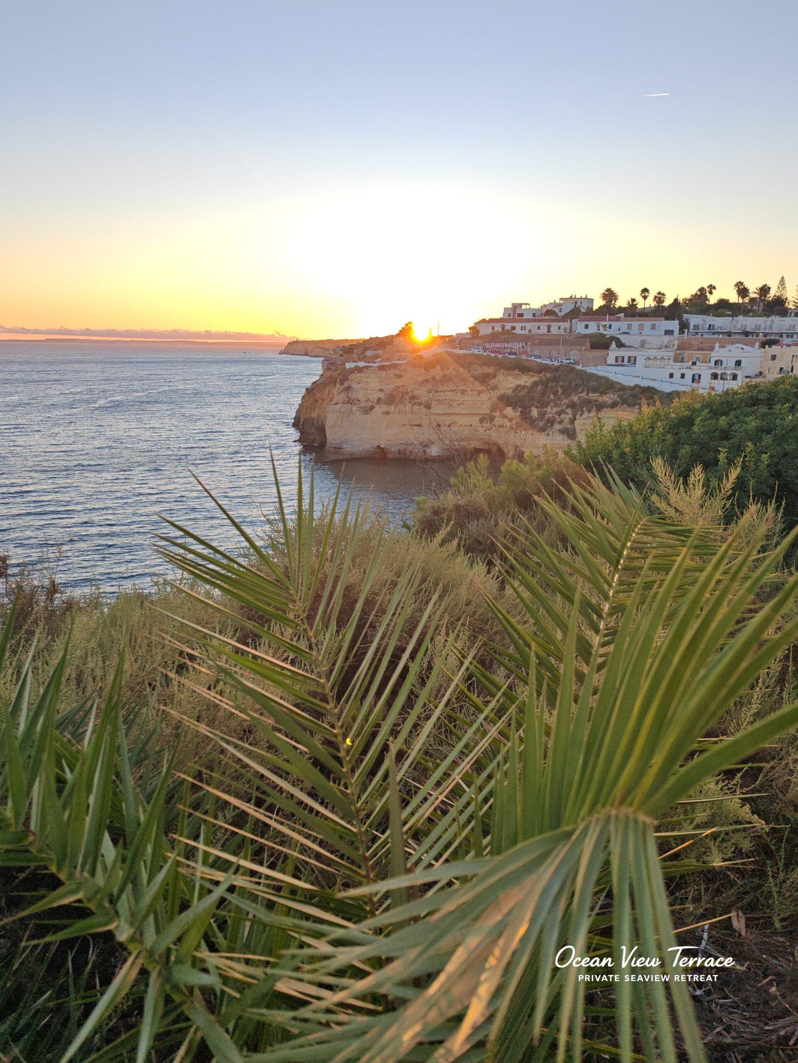 Coastal plants Carvoeiro