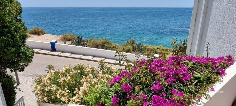 Sea View from the ocean view terrace entrance