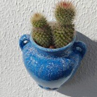 oplus_3145760